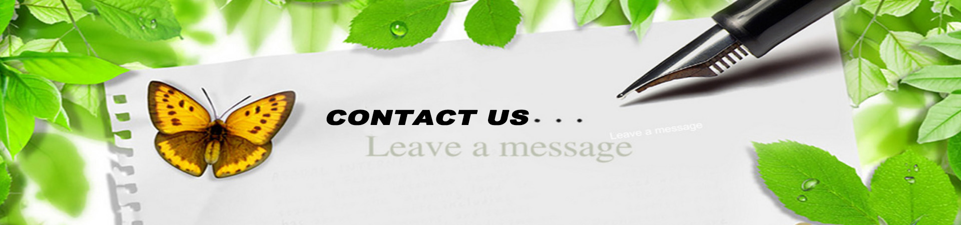 Contact us